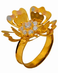 cas_ring2